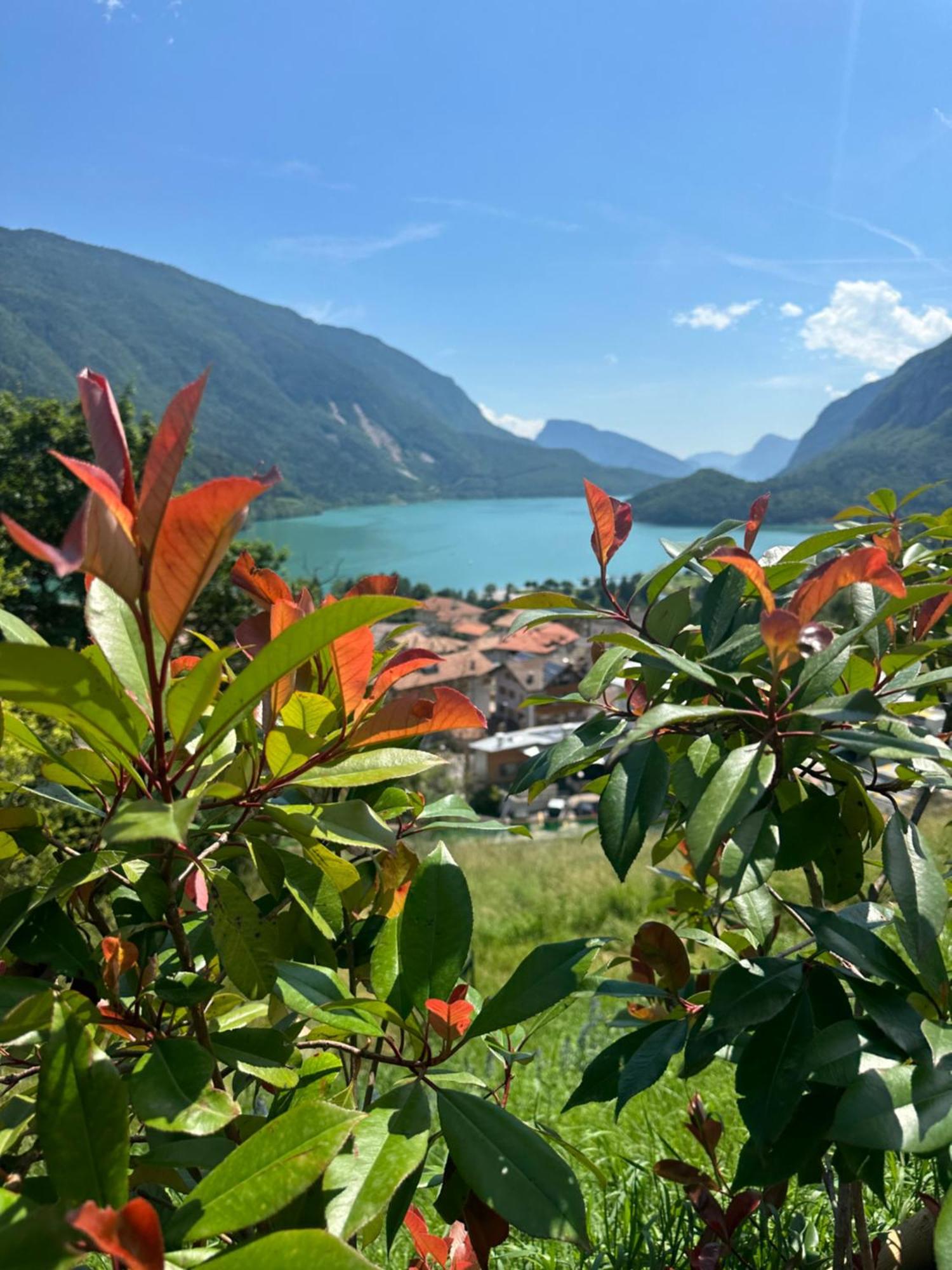 Villa La Dama Del Lago Molveno Exterior foto